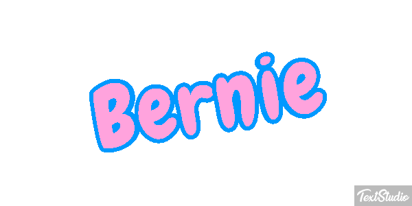 Bernie Efekt tekstowy