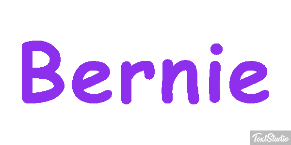 Bernie Efekt tekstowy