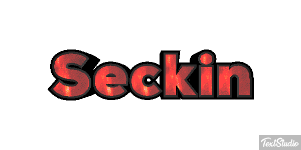 Seçkin Metin efekti