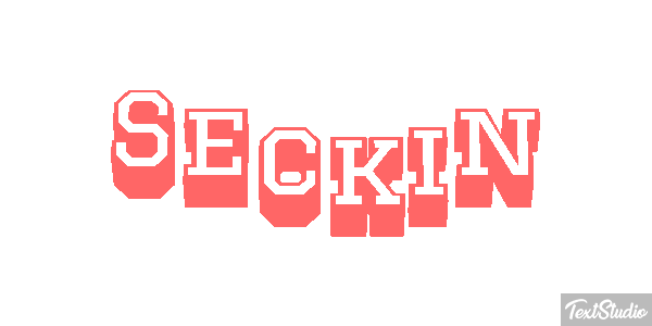 Seçkin Metin efekti