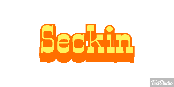 Seçkin Metin efekti