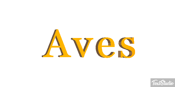 Aves Effet de texte