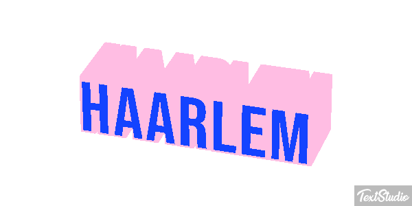 Haarlem テキスト効果