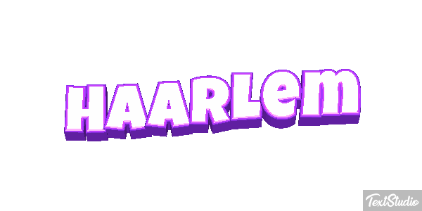 Haarlem テキスト効果