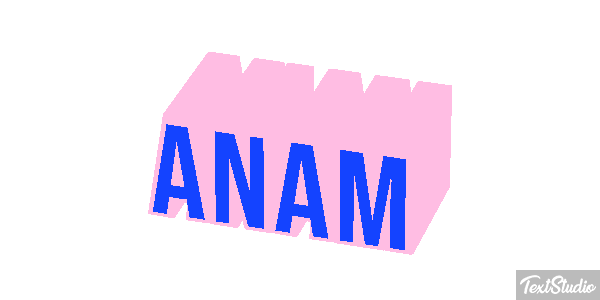 Anam Text effect