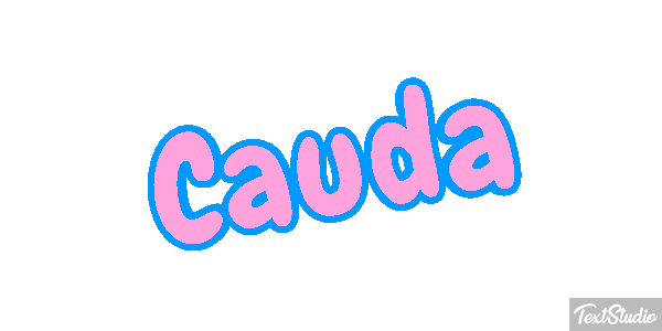 Cauda Efeito do texto