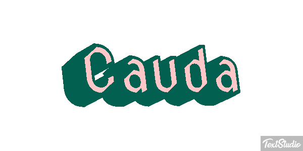 Cauda Efeito do texto