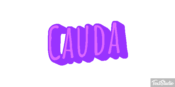 Cauda Efeito do texto