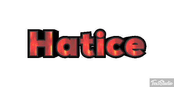 Hatice Metin efekti