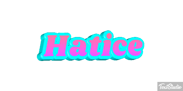 Hatice Metin efekti