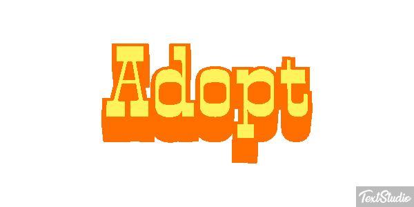 Adopt Metin efekti