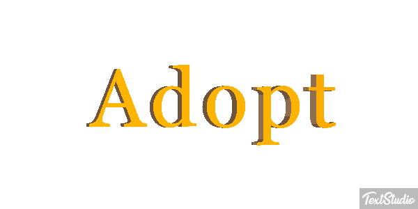 Adopt Metin efekti