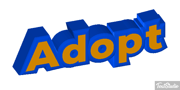 Adopt Metin efekti
