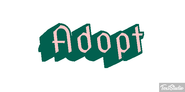 Adopt Metin efekti
