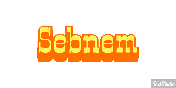 Şebnem Tekst effect
