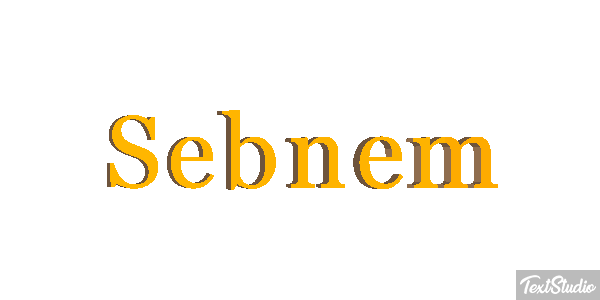 Şebnem Tekst effect