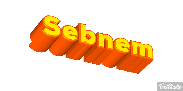 Şebnem Tekst effect