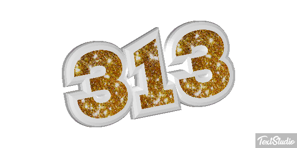 313 Efeito do texto