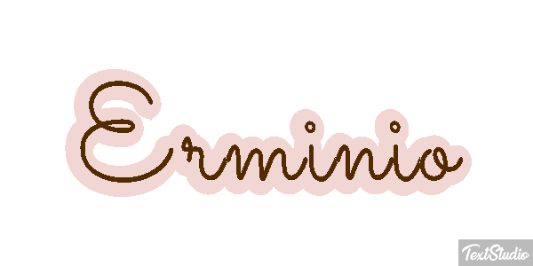 Erminio Effetto testo