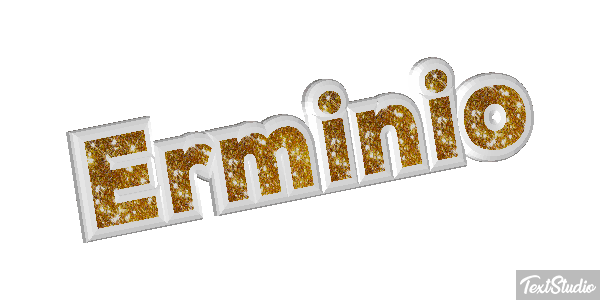 Erminio Effetto testo