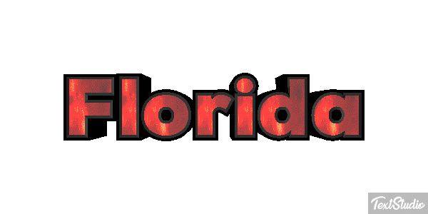 Florida Efekt tekstowy