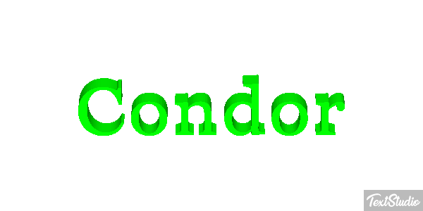 Cóndor テキスト効果