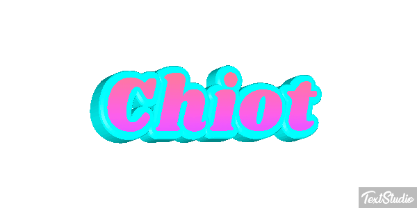 Chiot Effet de texte