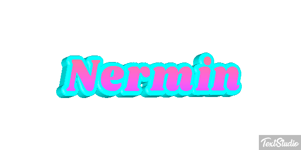 Nermin Metin efekti