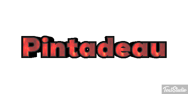 Pintadeau Effet de texte
