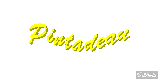 Pintadeau Effet de texte