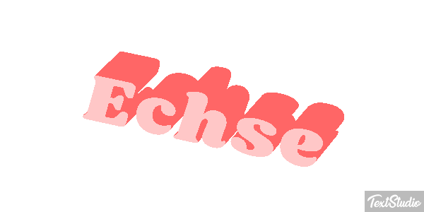 Echse Tekst effect