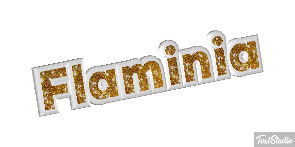 Flaminia Effetto testo