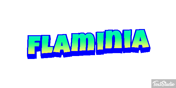Flaminia Effetto testo