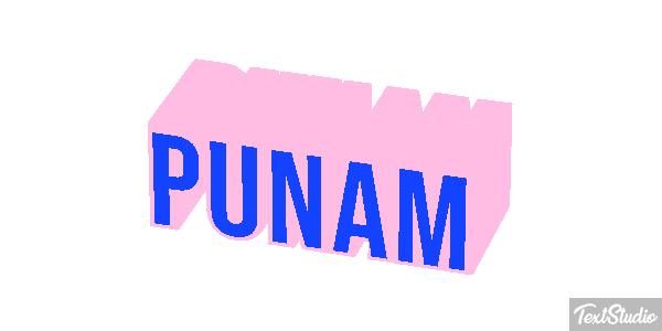 Punam Text effect
