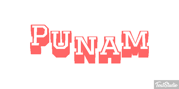 Punam Text effect
