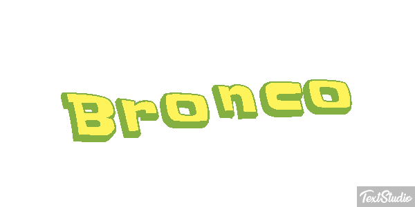Bronco テキスト効果