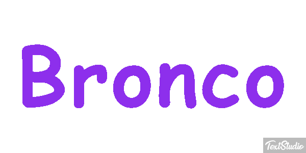 Bronco テキスト効果