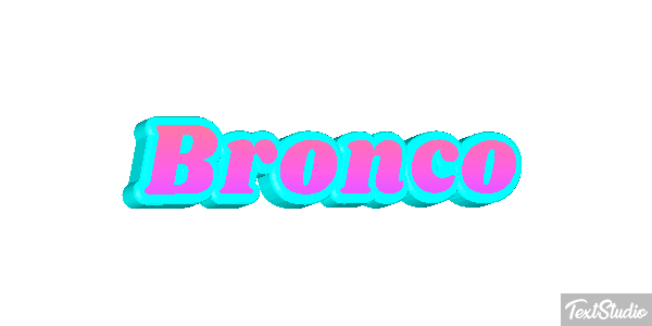Bronco テキスト効果