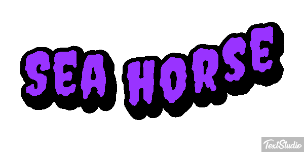 Sea Horse Text effect