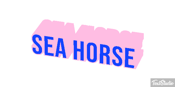 Sea Horse Text effect