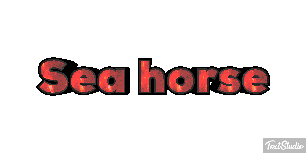 Sea Horse Text effect