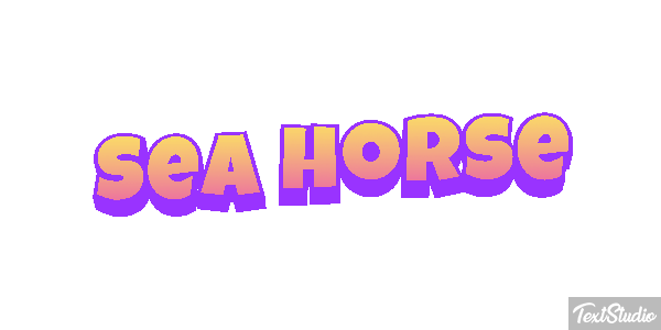 Sea Horse Text effect