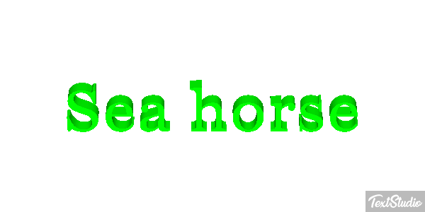 Sea Horse Text effect