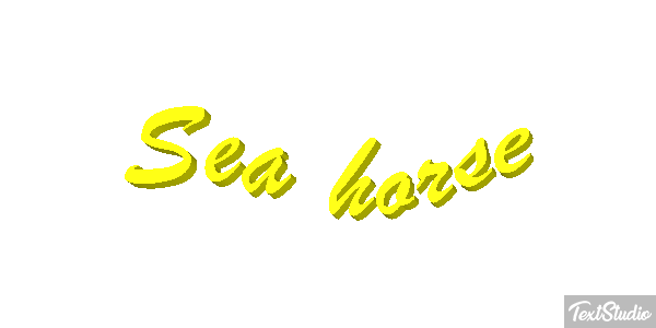 Sea Horse Text effect