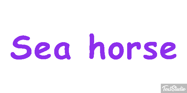 Sea Horse Text effect