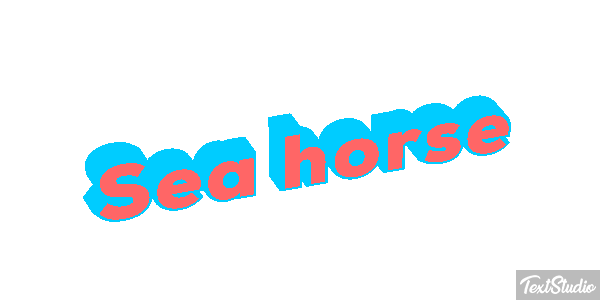 Sea Horse Text effect