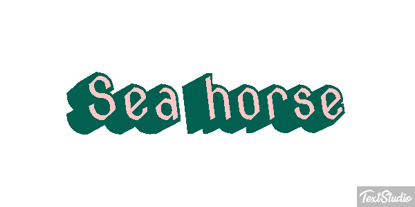Sea Horse Text effect
