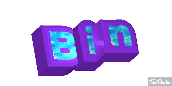 Bin Text effect