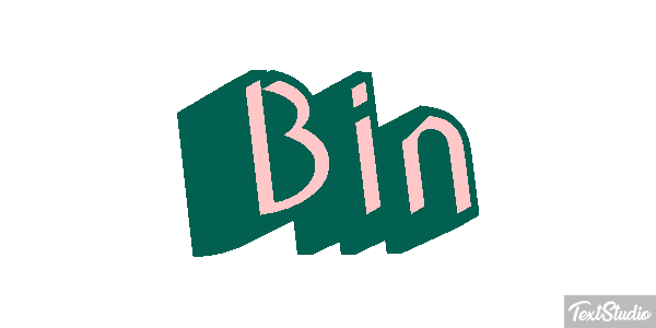 Bin Text effect