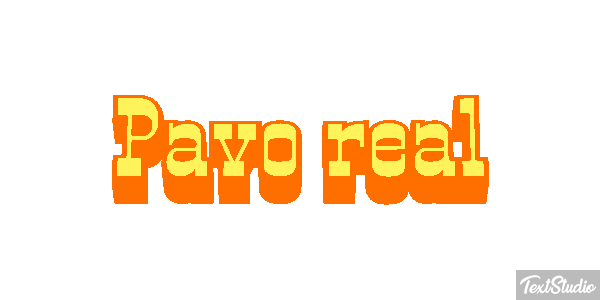Pavo real Effetto testo